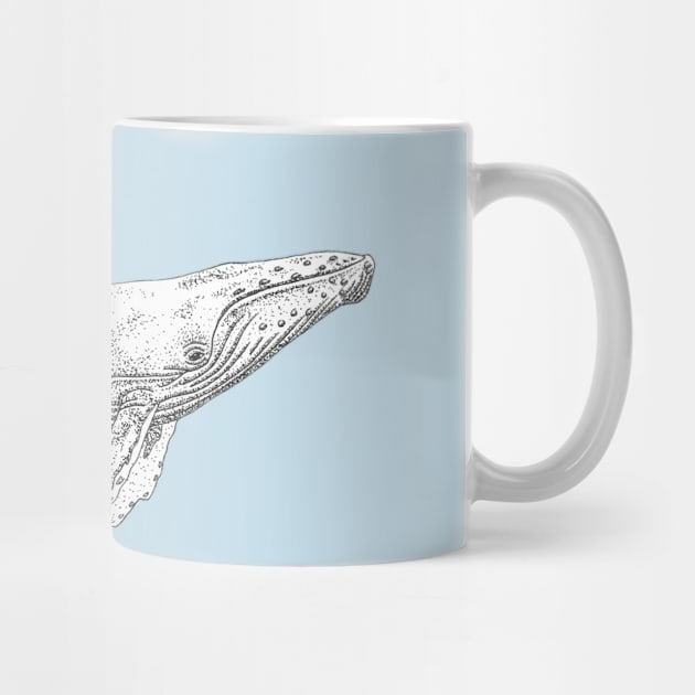 Humpback Whale by lexalion